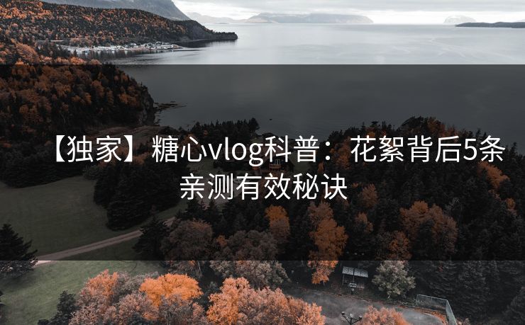 【独家】糖心vlog科普：花絮背后5条亲测有效秘诀