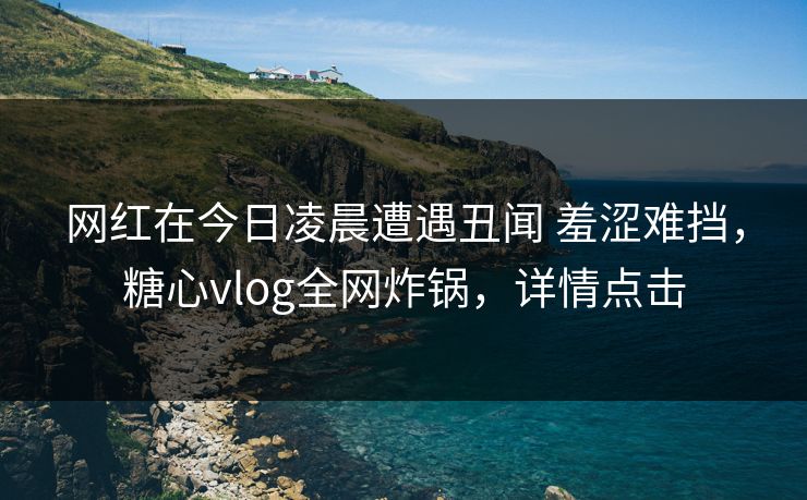 网红在今日凌晨遭遇丑闻 羞涩难挡,糖心vlog全网炸锅,详情点击