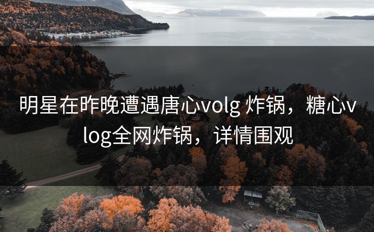 明星在昨晚遭遇唐心volg 炸锅，糖心vlog全网炸锅，详情围观